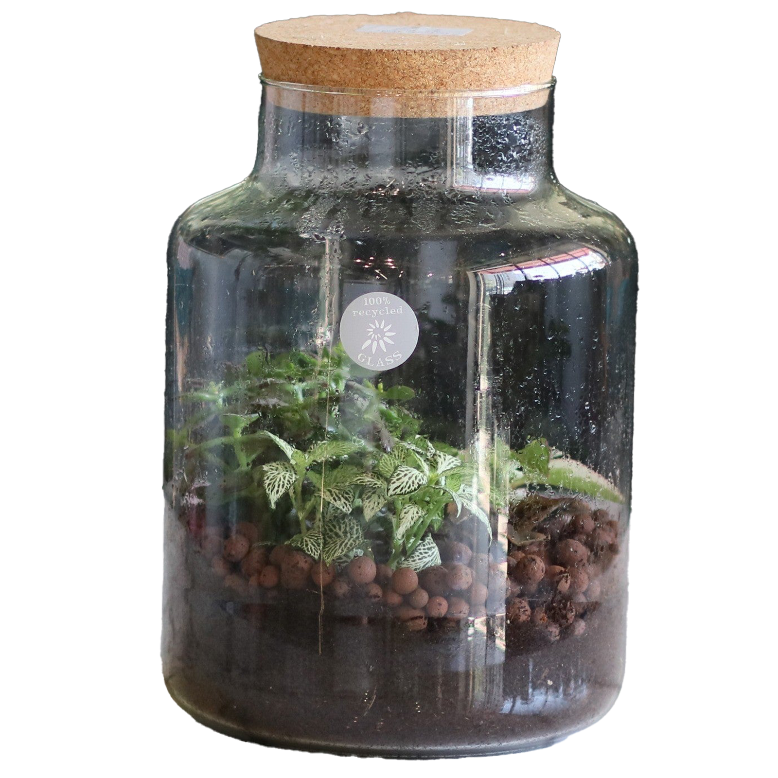 Terrariums