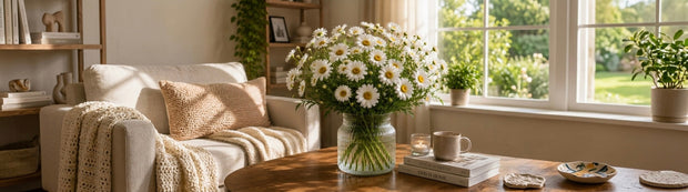 Daisies
