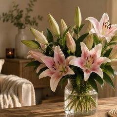 Collection image for: Lily