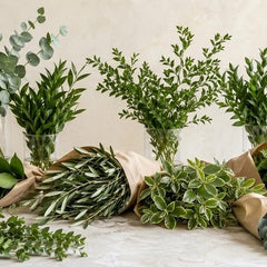 Collection image for: Greenery