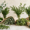 Greenery