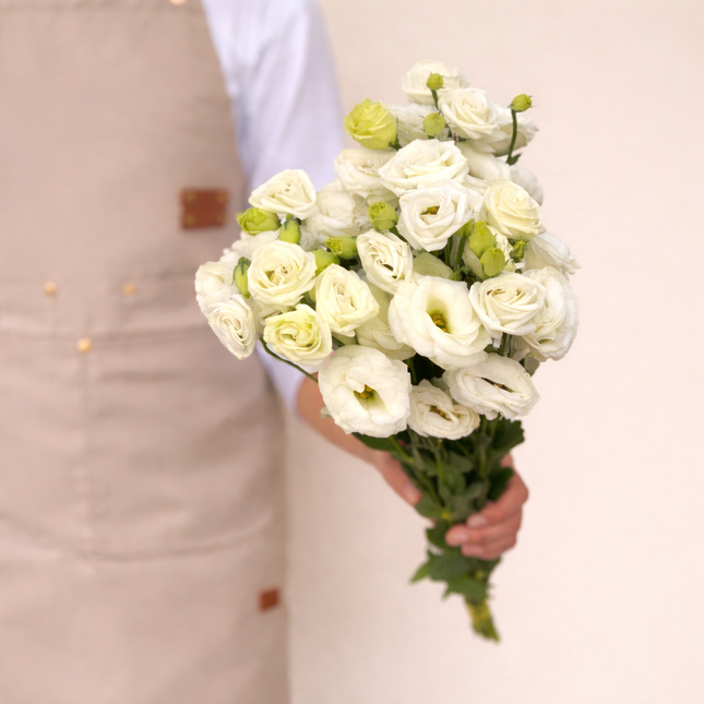 Eustoma White