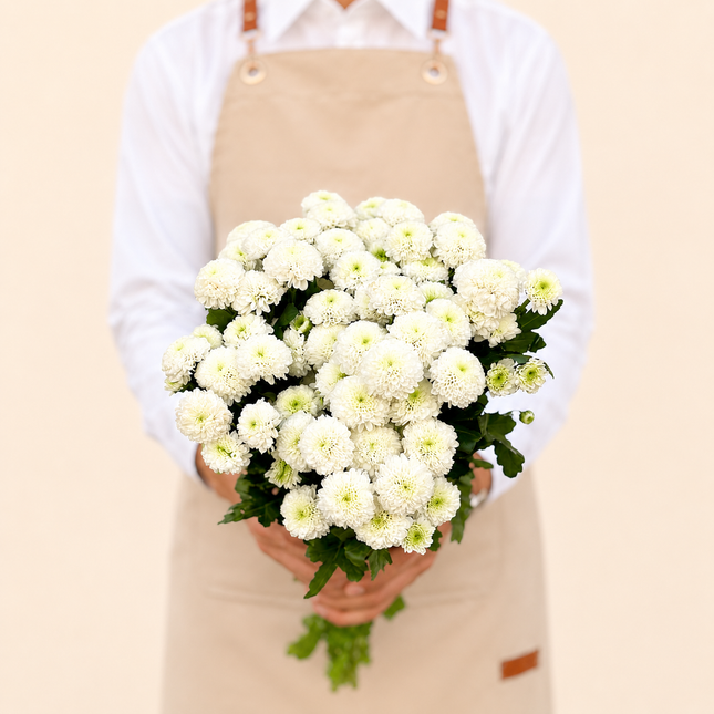Chrysanthemum Button Spray White