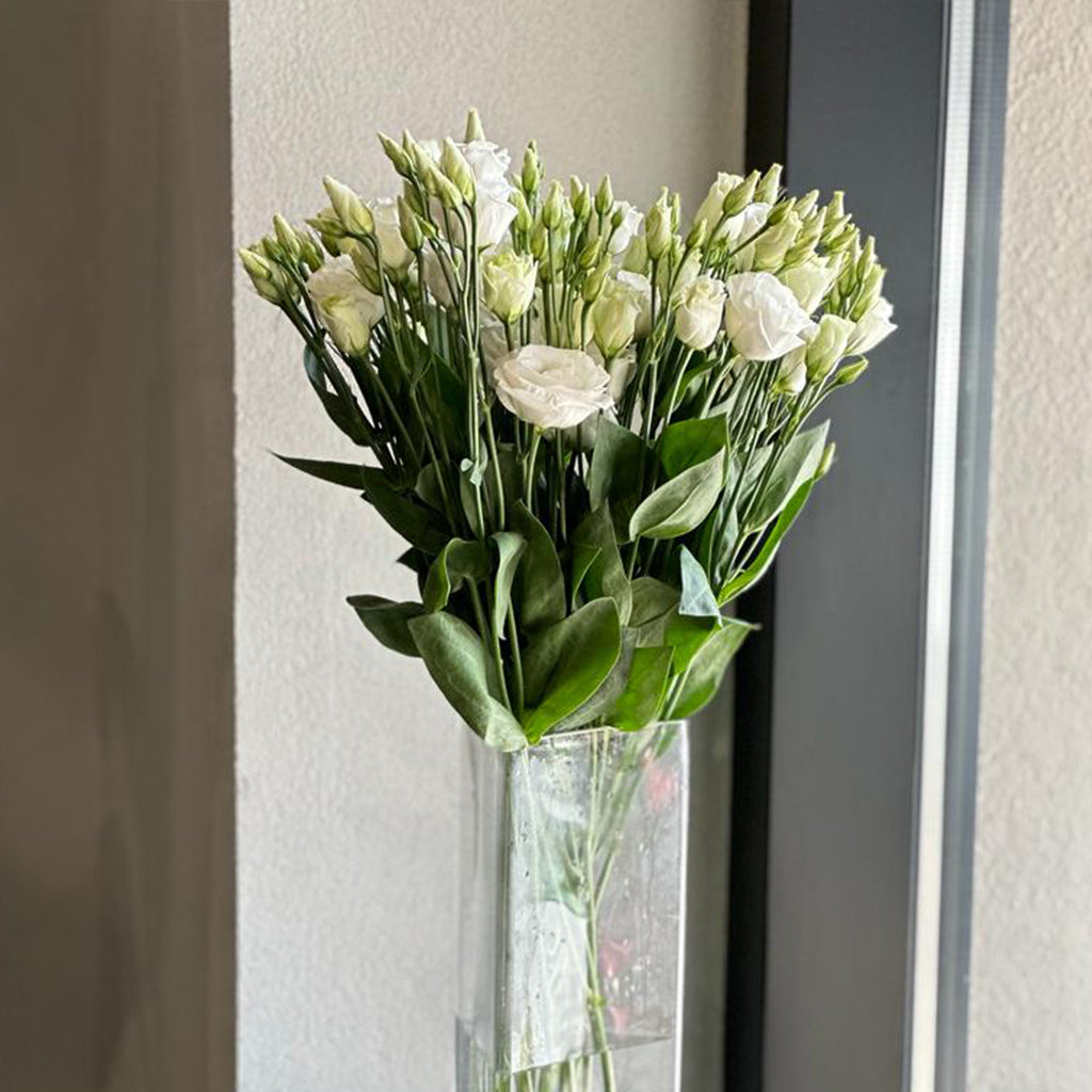 LISIANTHUS WHITE