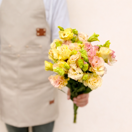Eustoma Champagne