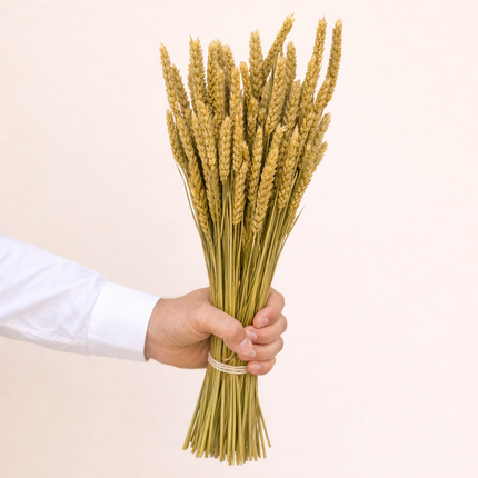 Dried Wheat Natural
