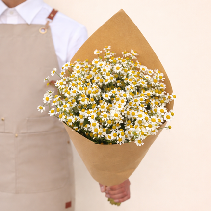 Tanacetum Single Vegmo