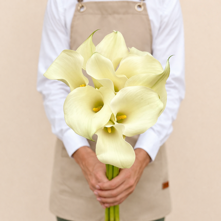 Calla Lily White
