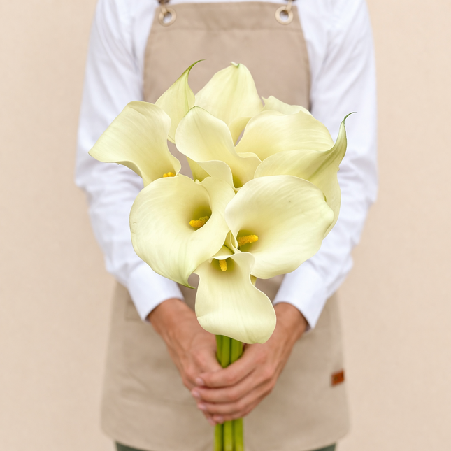 Calla Lily White