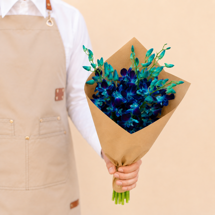 Dendrobium Blue Orchids