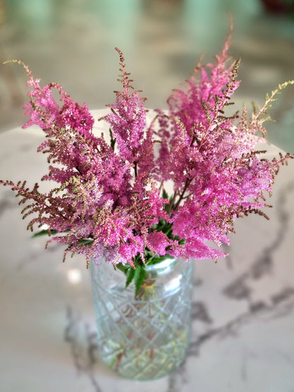 Astilbe Erika Pink