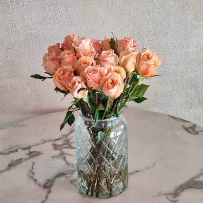 Peach Shimmer Roses