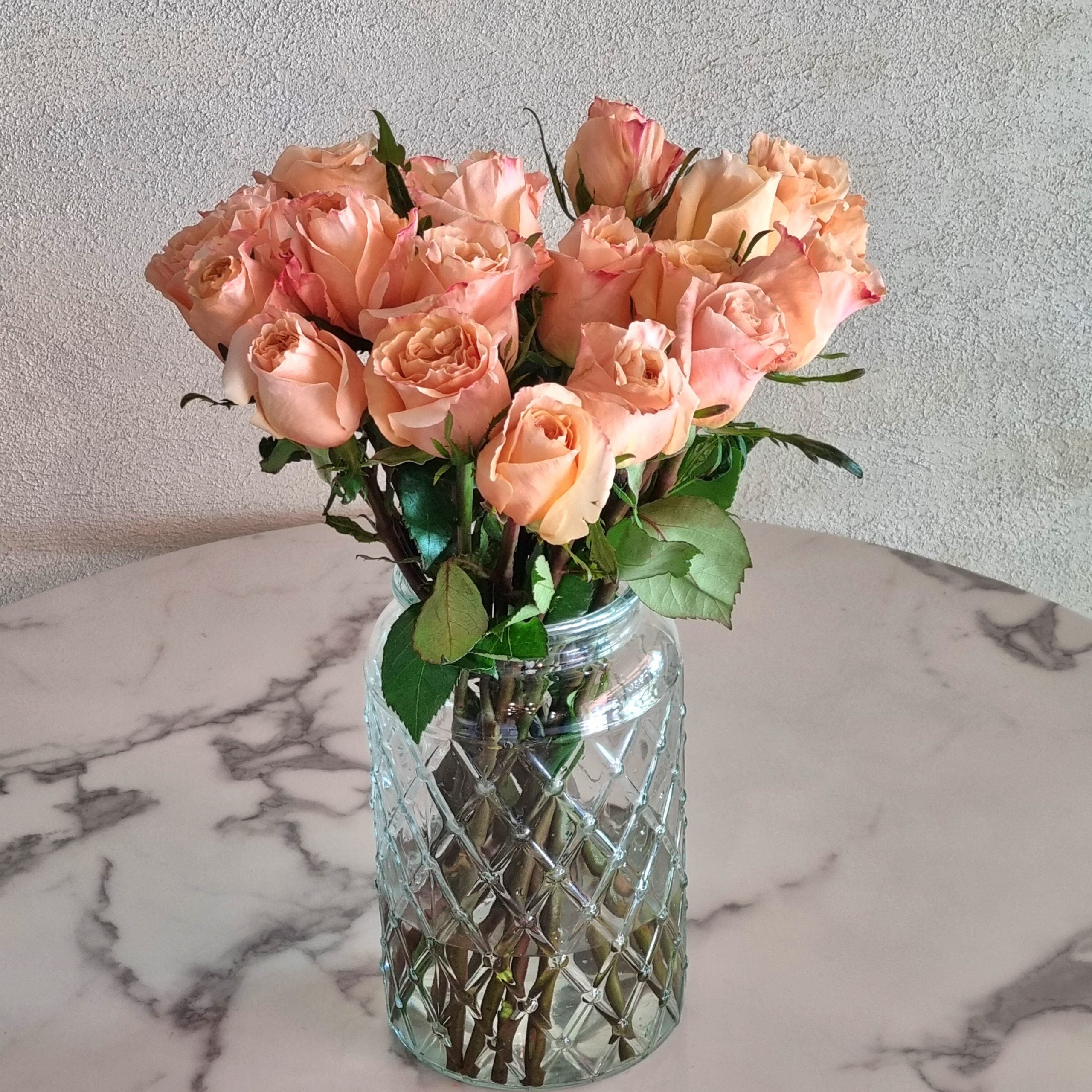 Peach Shimmer Roses