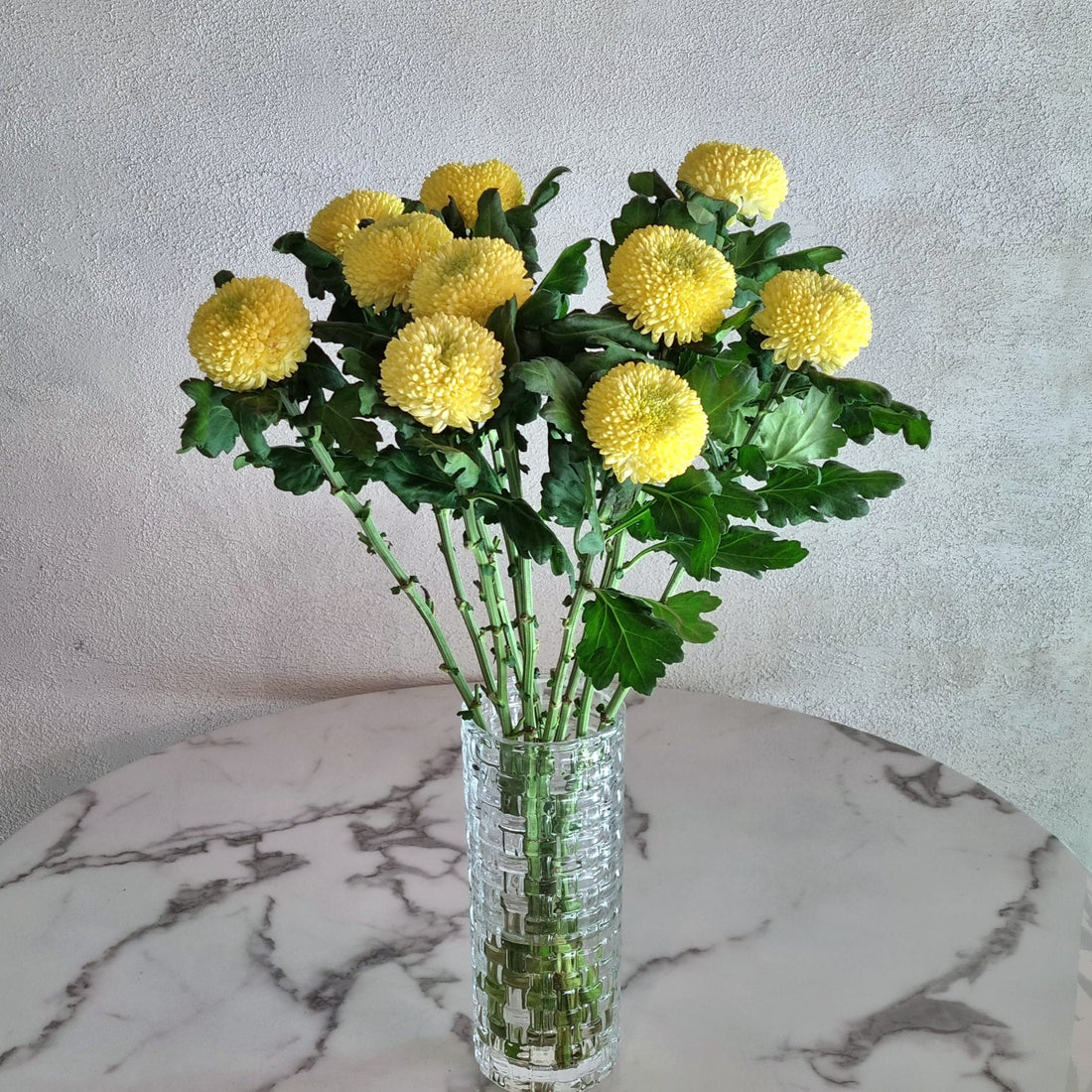 Yellow Pom Pom Chrysanthemums