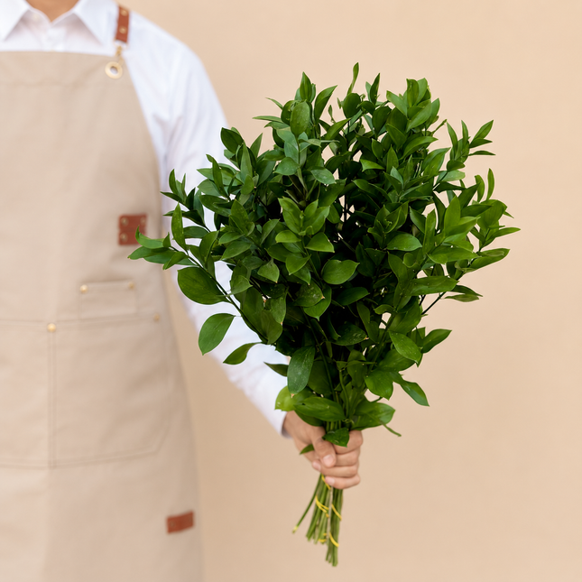 Single Ruscus