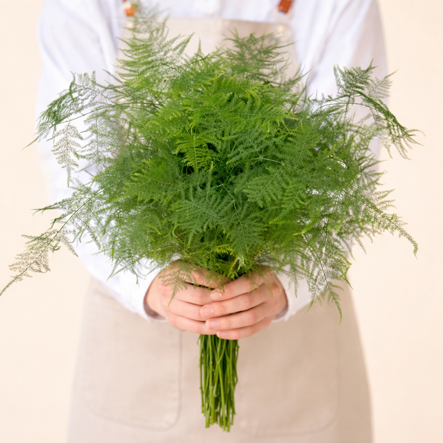 Asparagus Green