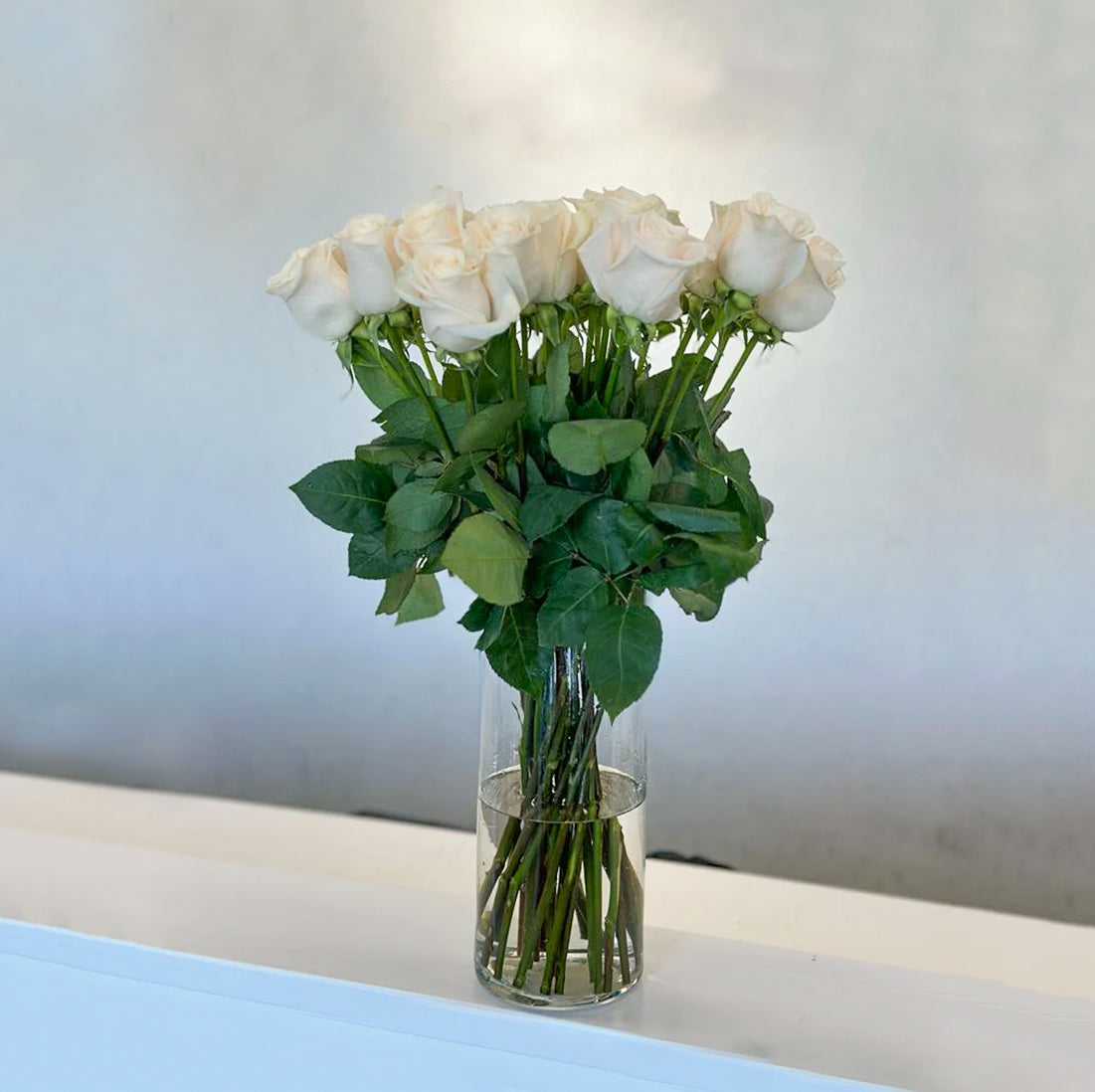 Vandella White Rose in a vase