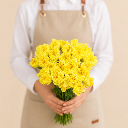 Yellow Carnations