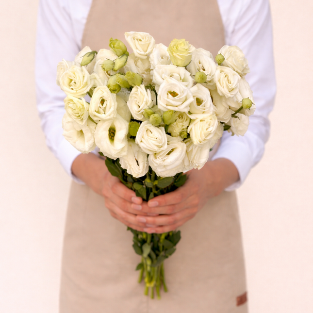 Eustoma White