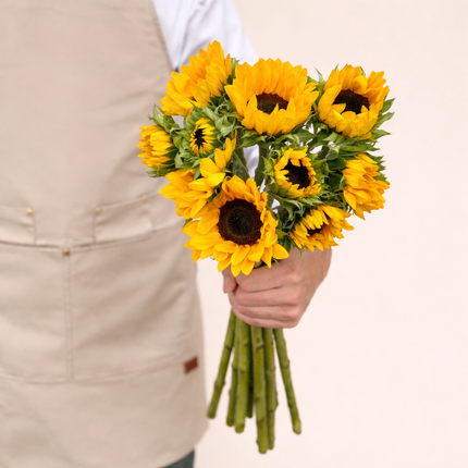 Sun Flower
