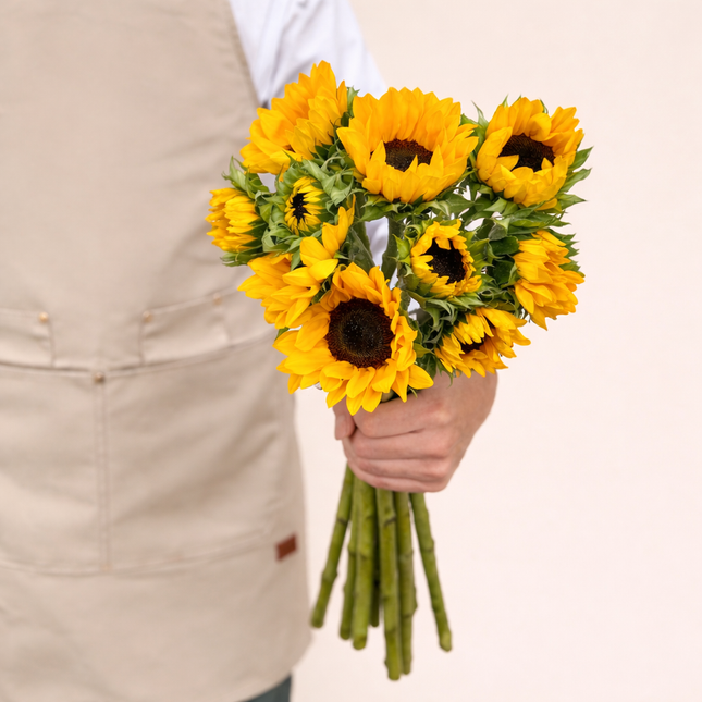 Sun Flower