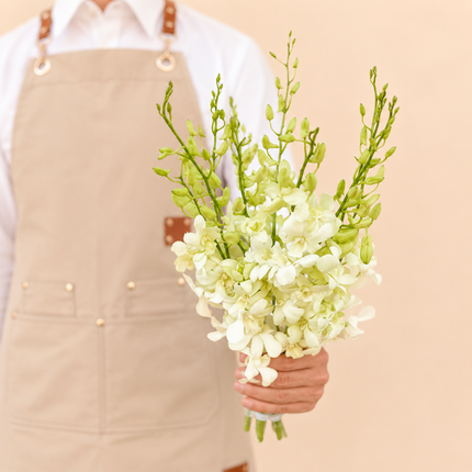 White Dendrobium Orchid Bunch