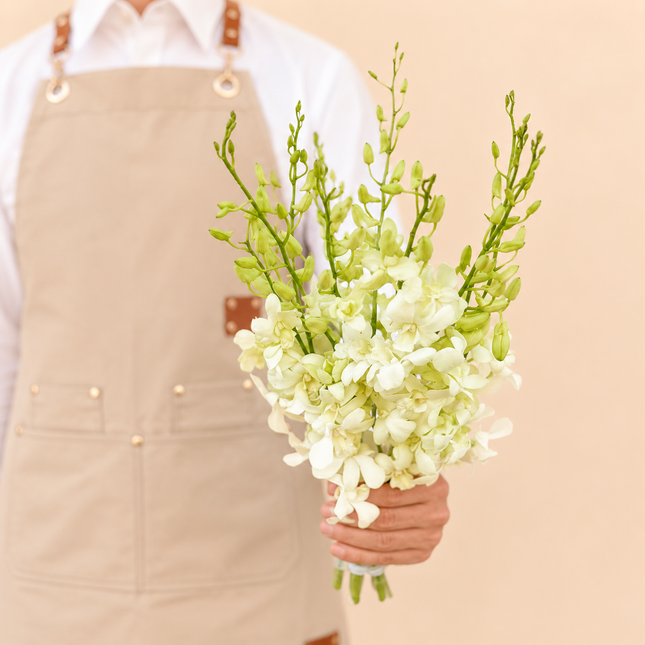 White Dendrobium Orchid Bunch