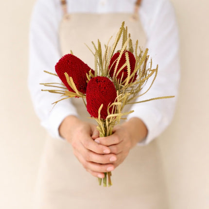 Dried Banksia Red