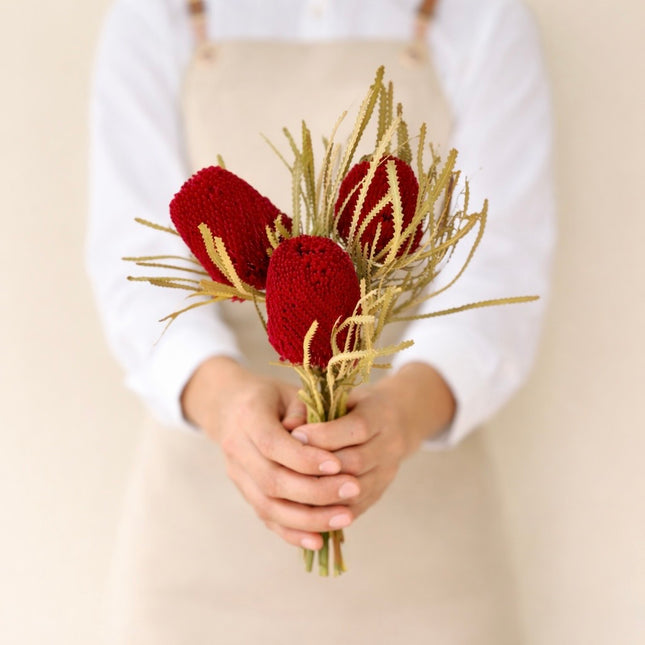 Dried Banksia Red