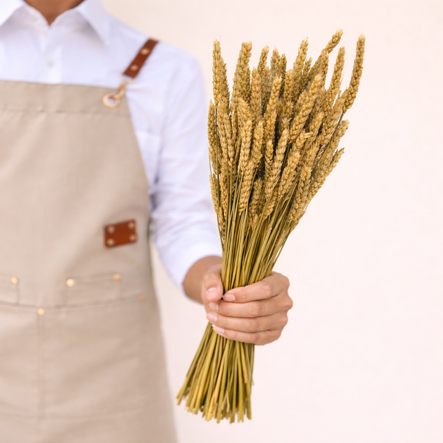 Dried Wheat Natural