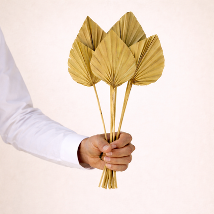 Dried Palm Spear