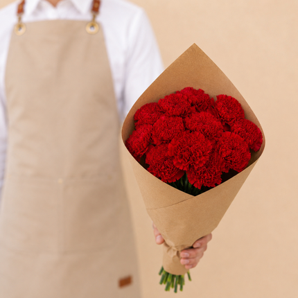 Red Carnations