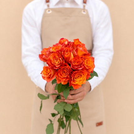 Freespirit Roses