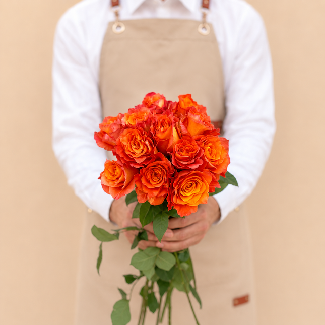 Freespirit Roses