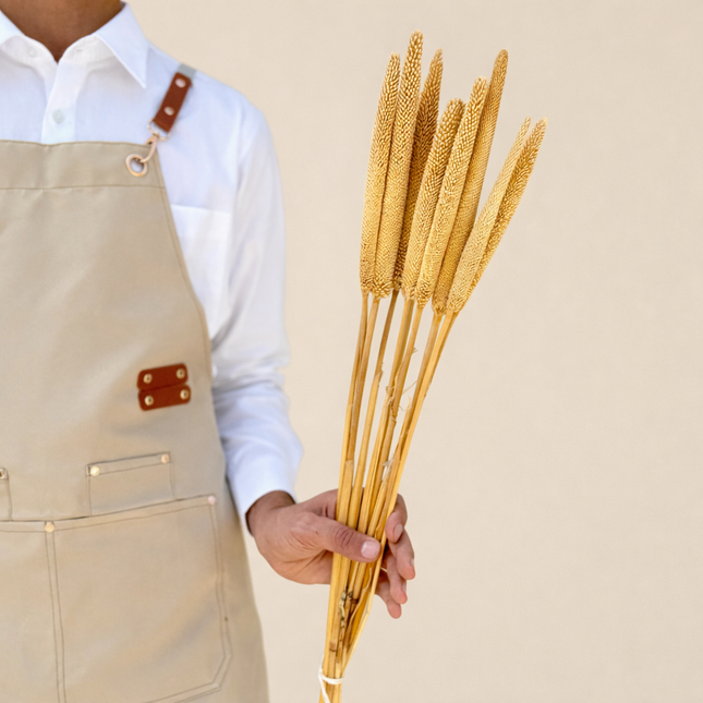 Dried Barbala