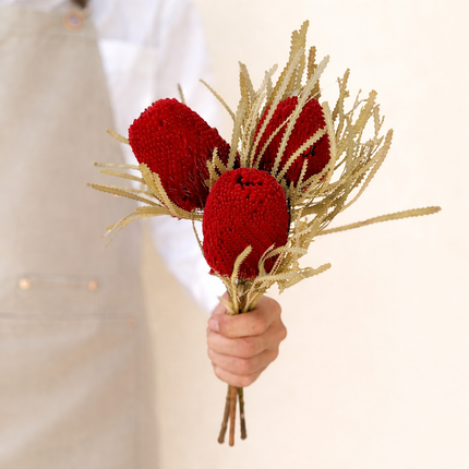 Dried Banksia Red