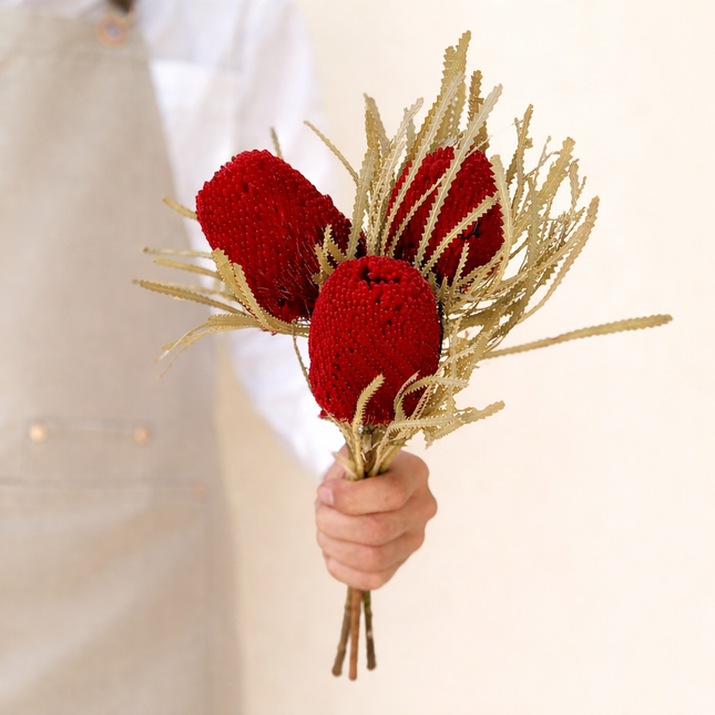 Dried Banksia Red