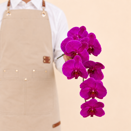 Purple Phalaenopsis Cut Flower