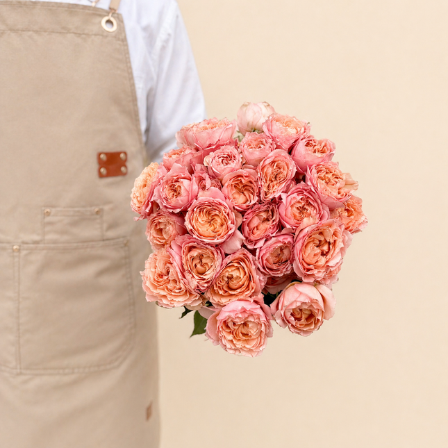 Spray Rose Julieta