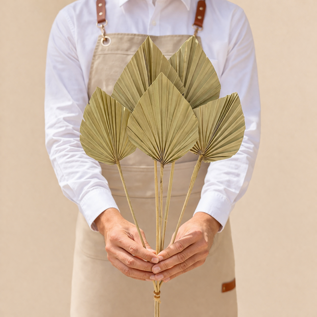 Dried Palm Spear