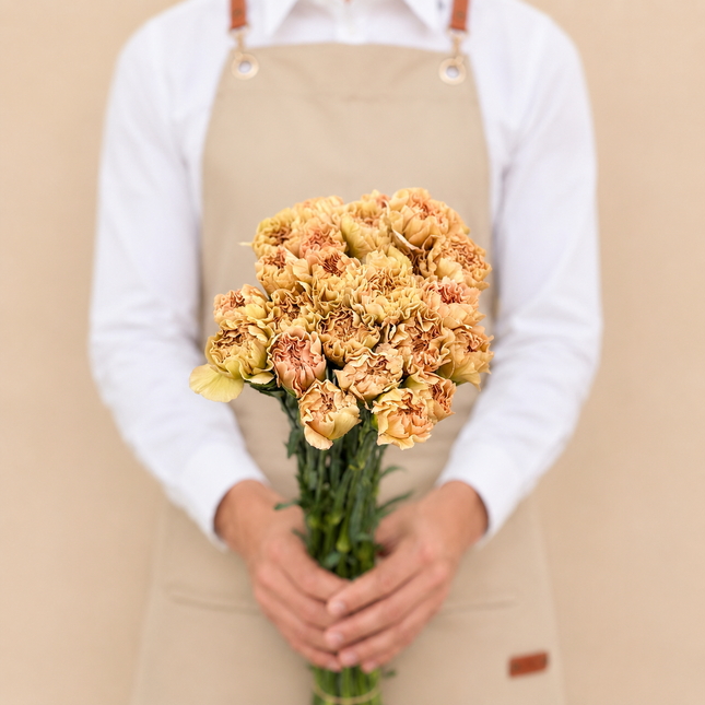 Lege Marrone Carnations