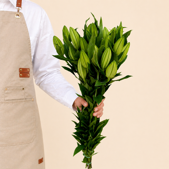 Oriental White Lilies