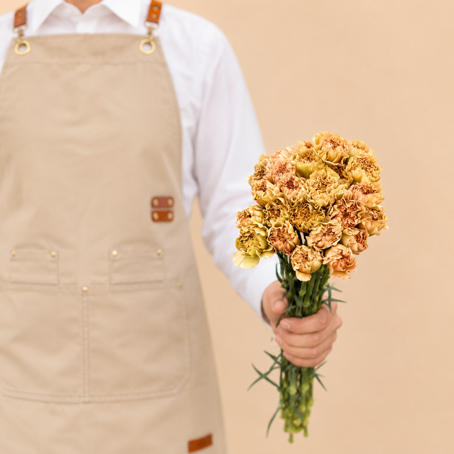 Lege Marrone Carnations