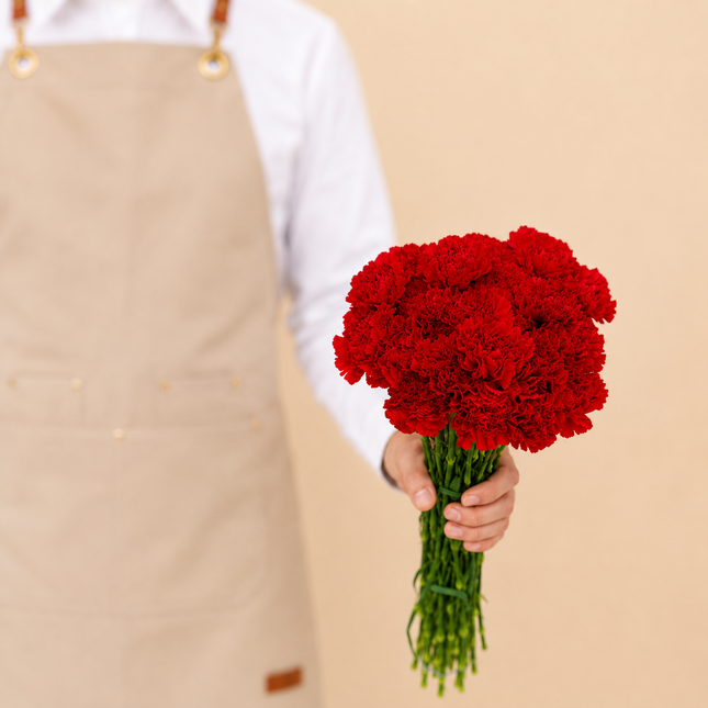 Red Carnations