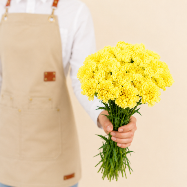 Yellow Carnations