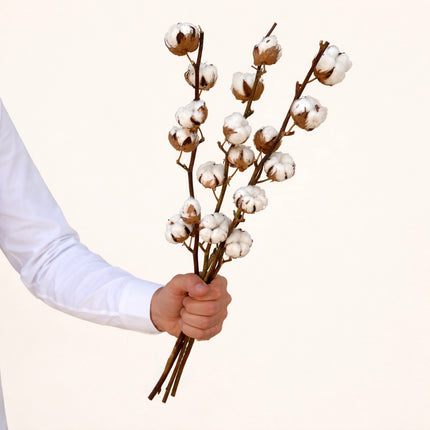 Cotton Stick