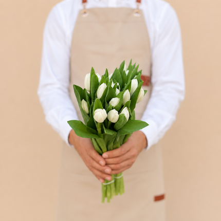 Tulip White