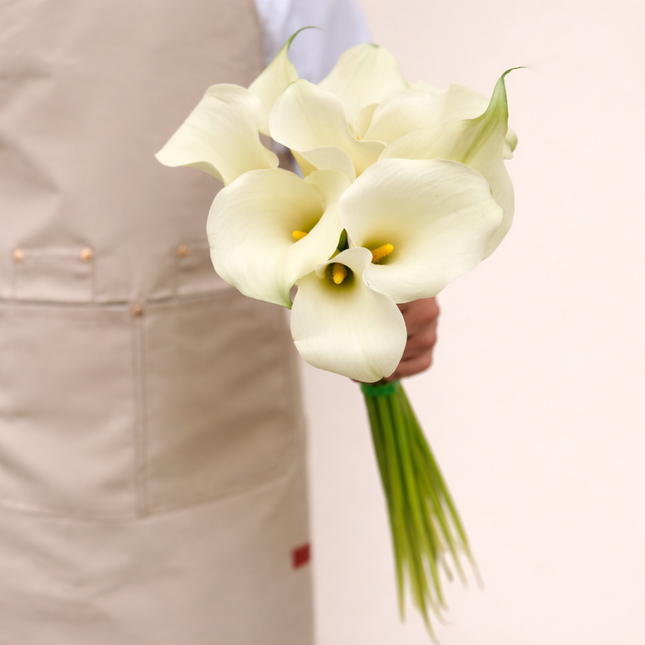 Calla Lily White