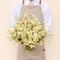 Elite Blooms