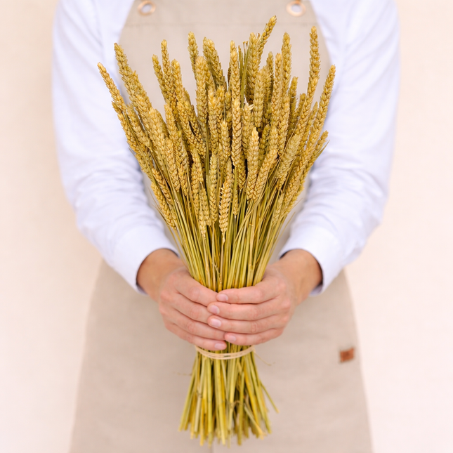 Dried Wheat Natural